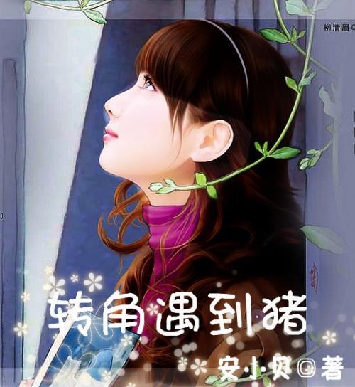 找到旅店窃贼