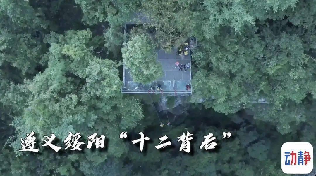 小猫钓鱼开船版最新版下载
