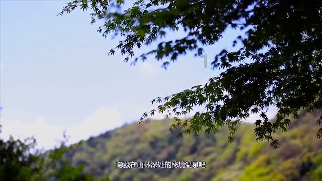 阜阳市颍东区：制造强区脚步铿锵