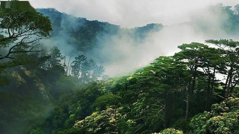逆水寒