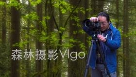 麦克斯：兄弟魔咒