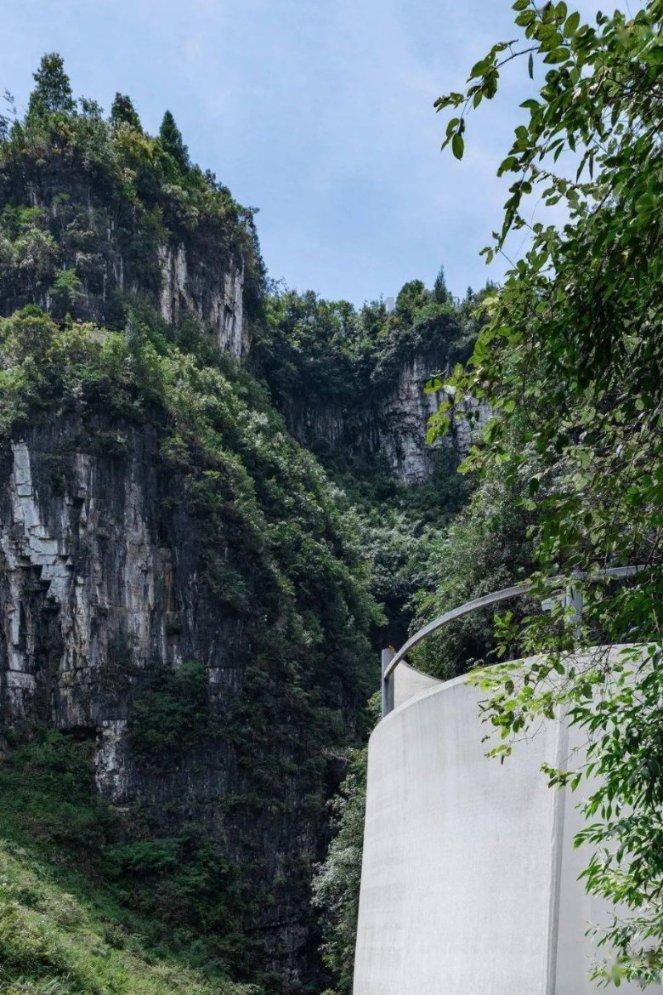 除虫大师
