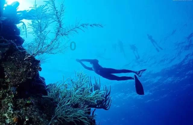 陕西推出1800余项春节主题文旅活动