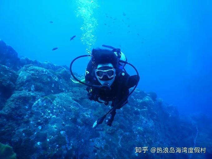 泰安市东平县:赶黄河大集 过欢乐大年