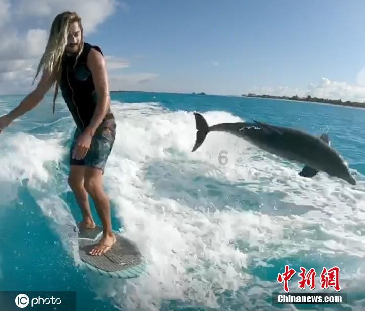 沪江开心词场