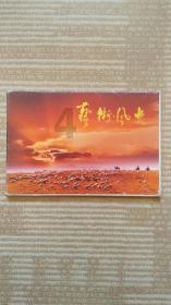 护士的职业道德标准是什么？