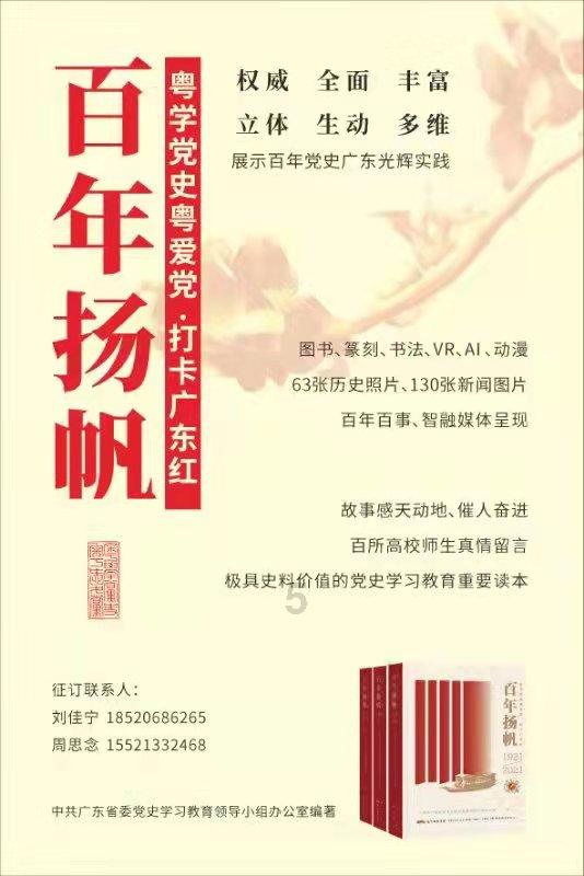 美丽的铅笔裙