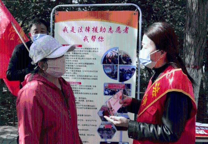 细胞分裂6