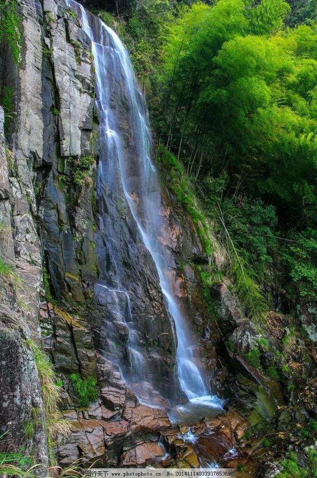 寻找沙漠珍宝