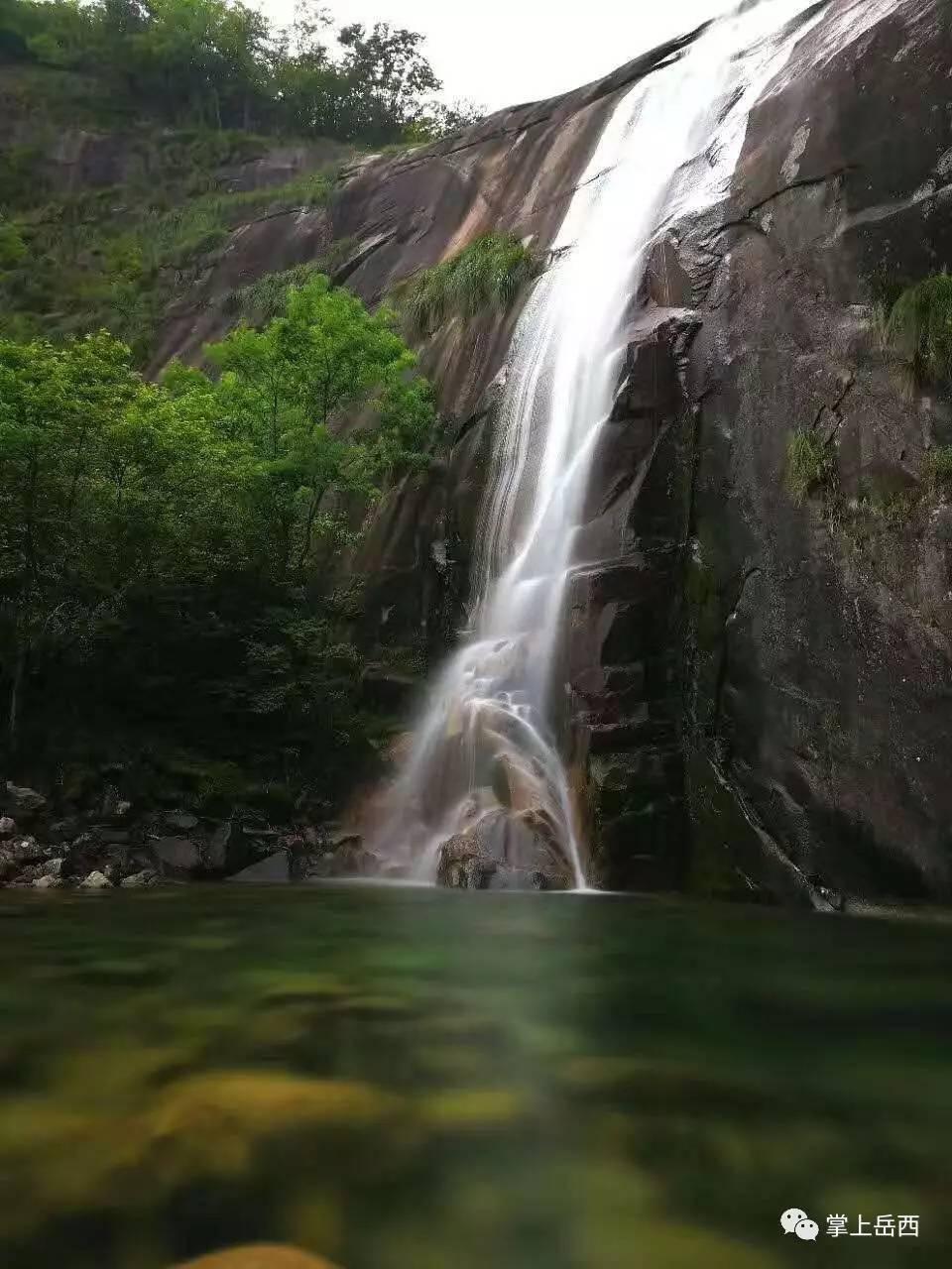 救援有趣的孔雀