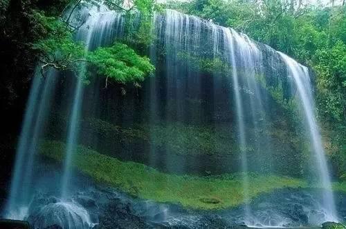 逃离水虎鱼湖