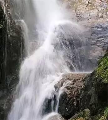 部落陷阱逃脱