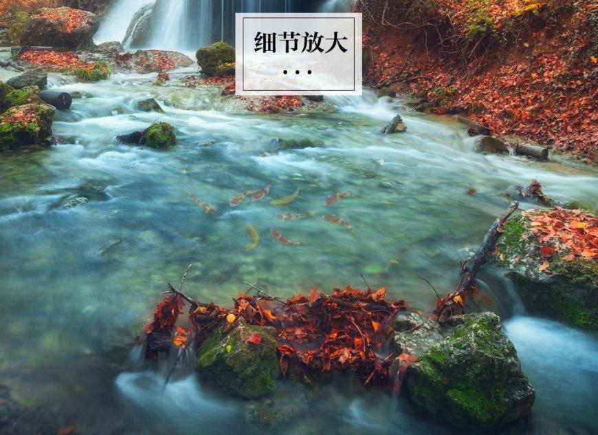 豆娃勇士