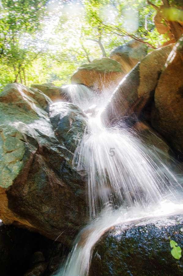 重庆上线“渝土方”小程序 工程渣土管理实现“云算数跑”