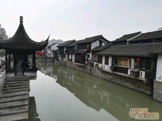 国内诉讼离婚如何办理离婚手续？游戏画面