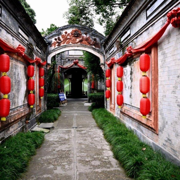 细胞分裂5