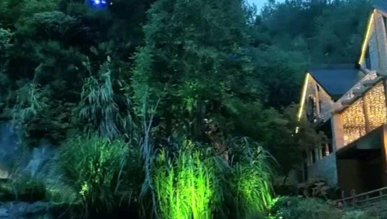 疯狂球球极限求生